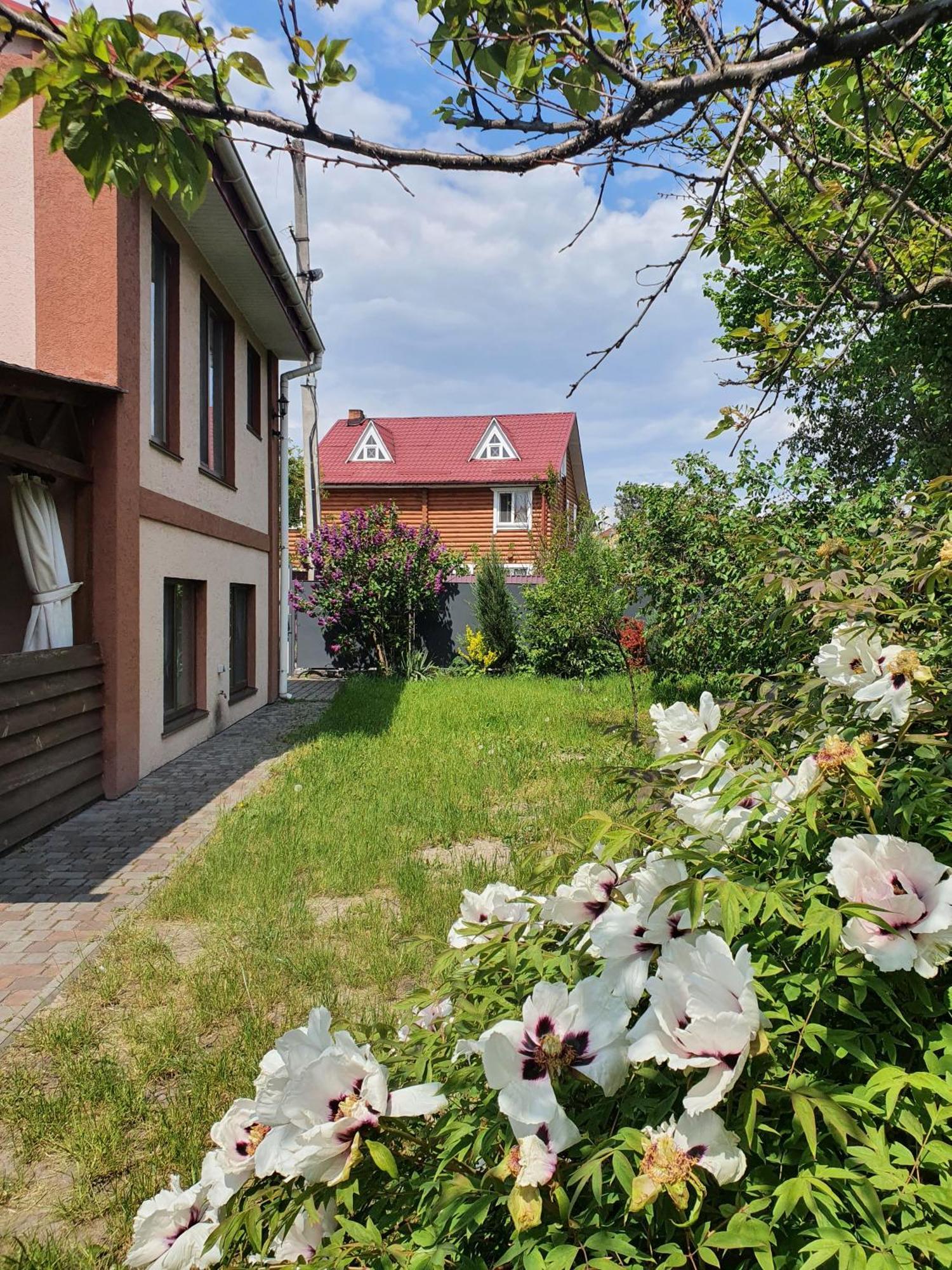 Dacha Koncha Zaspa Kozyn Kültér fotó